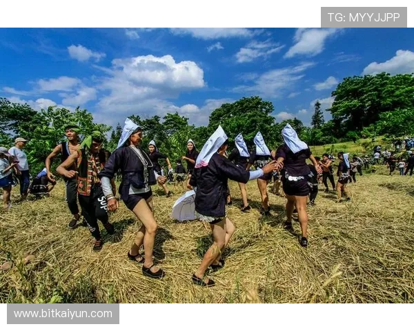 开云开户常见问题解答及解决方案指南帮助用户消除疑虑
