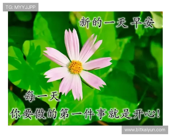 使用开运app手机版轻松查阅每日吉凶，助你把握每一天的好运气