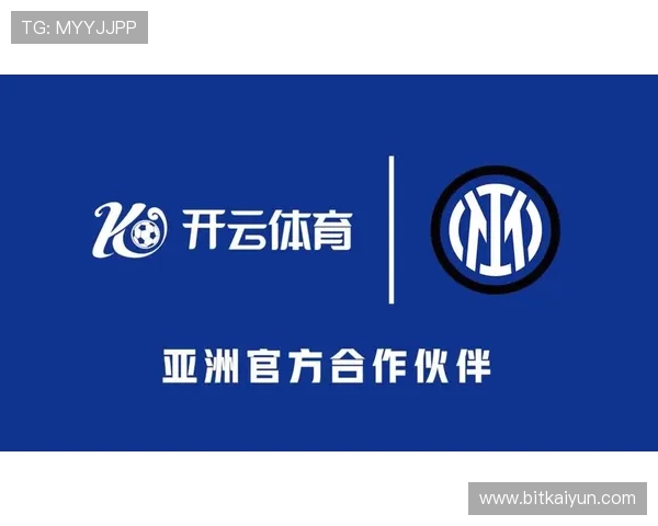 用户评价开云体育app官网，探索各项功能使用心得分享