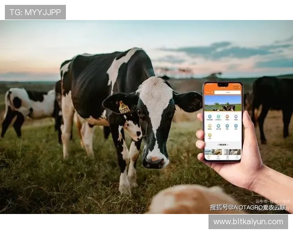 开云体育手机版最新版本更新内容详解，全面提升用户体验和赛事观看的便捷性