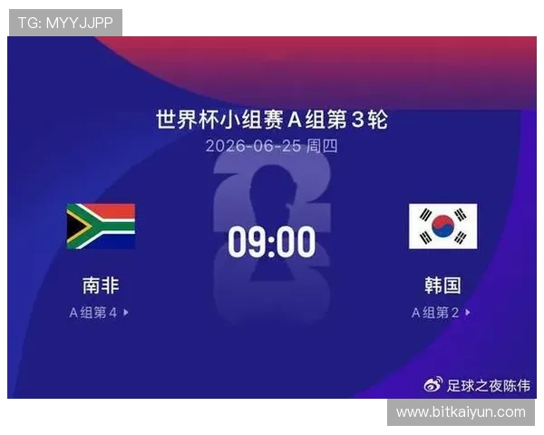 世界杯南非韩国赛程安排及比赛图片全景回顾，了解比赛精彩瞬间